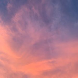 Meet your Posher, Jules